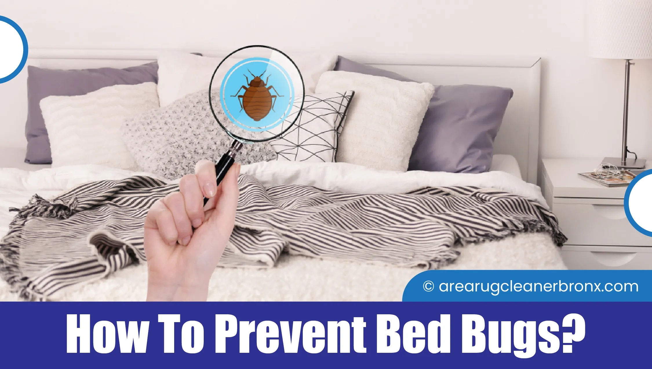 carpet cleaning in bronx, carpet cleaning bronx, carpet cleaners in bronx, carpet cleaners in bronx, commercial carpet cleaning, commercial carpet cleaning in bronx, bronx rug cleaners, rug cleaning services in bronx, same day carpet cleaning, same day rug cleaning in bronx