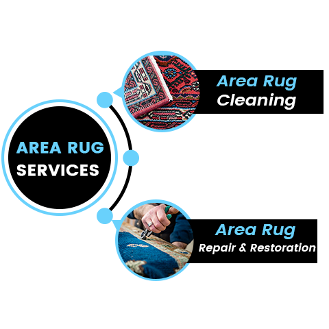 carpet cleaning in bronx, carpet cleaning bronx, carpet cleaners in bronx, carpet cleaners in bronx, commercial carpet cleaning, commercial carpet cleaning in bronx, bronx rug cleaners, rug cleaning services in bronx, same day carpet cleaning, same day rug cleaning in bronx
