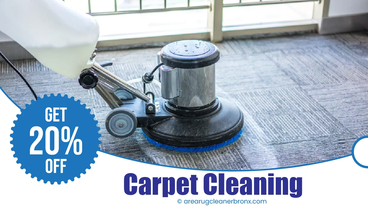 carpet cleaning in bronx, carpet cleaning bronx, carpet cleaners in bronx, carpet cleaners in bronx, commercial carpet cleaning, commercial carpet cleaning in bronx, bronx rug cleaners, rug cleaning services in bronx, same day carpet cleaning, same day rug cleaning in bronx