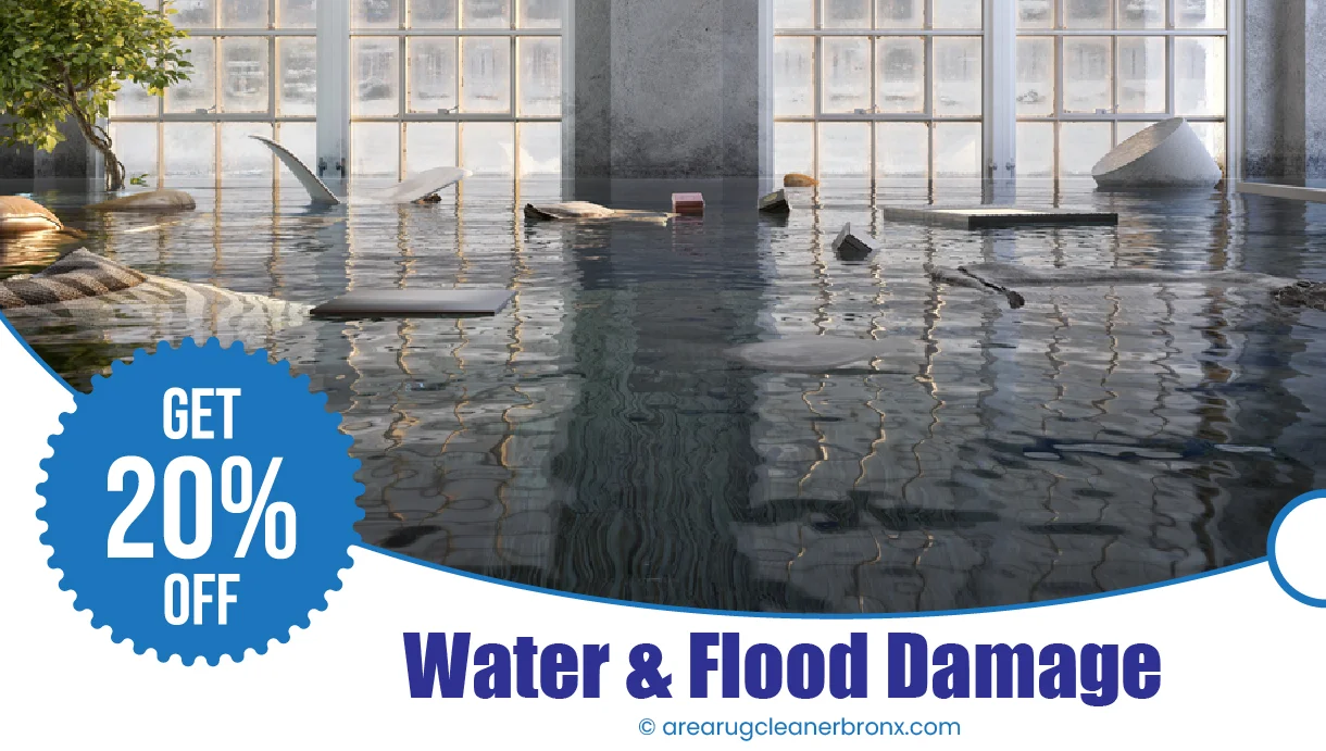 carpet cleaning in bronx, carpet cleaning bronx, carpet cleaners in bronx, carpet cleaners in bronx, commercial carpet cleaning, commercial carpet cleaning in bronx, bronx rug cleaners, rug cleaning services in bronx, same day carpet cleaning, same day rug cleaning in bronx